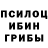 Псилоцибиновые грибы Cubensis cermix