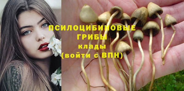 соль курить ск Кинешма
