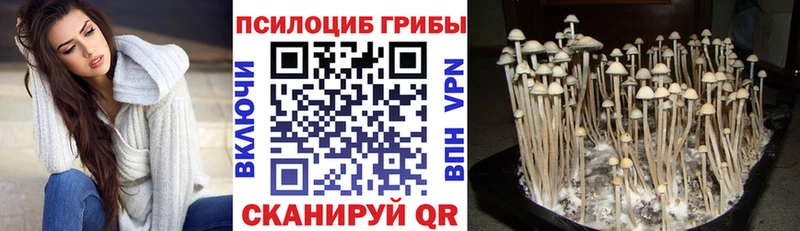 Псилоцибиновые грибы GOLDEN TEACHER  Купить закладки  Бузулук 
